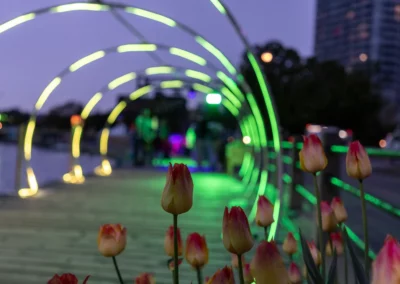 OSE Event Portfolio Photos - Tulip Festival - Neon lights
