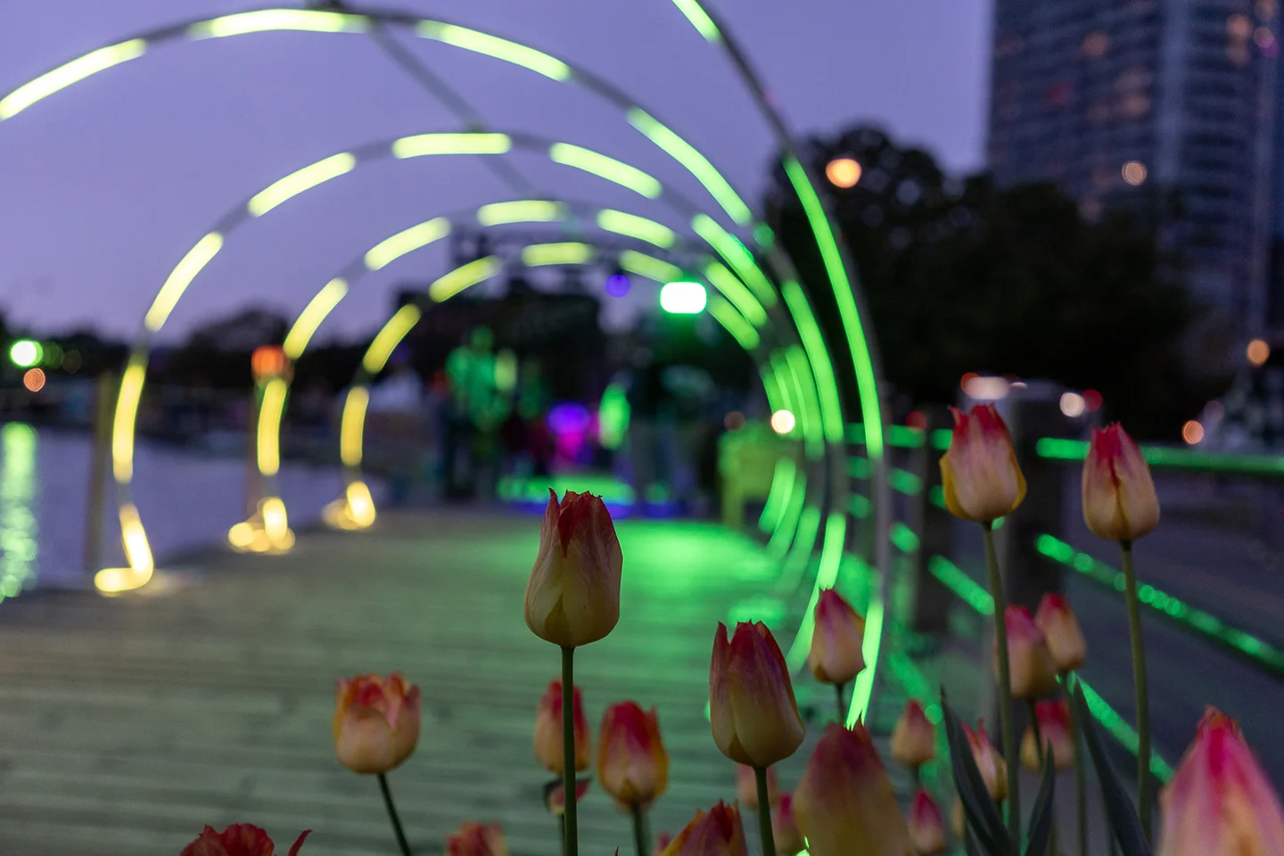 OSE Event Portfolio Photos - Tulip Festival - Neon lights